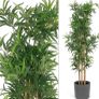 QUICK SALE (Moving out SALE) - Large Faux Bamboo Plant & Grey Floor Vase (Dublin 13) Image 3