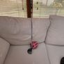 Taylormade Spider  GT Rollback Putter. Image 7