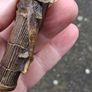 Cardoe Gilded Bronze(Leda and the Swan) Walking Stick Handle Image 8