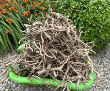 Fire wood