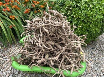 Fire wood