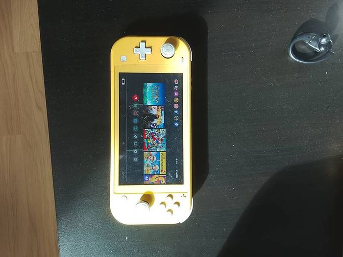 Nintendo Switch Lite