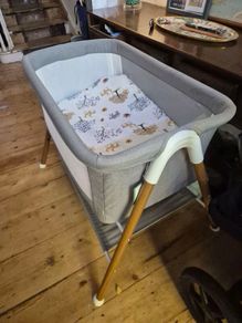 Free Newborn Crib