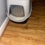 Cat stuff Image 2