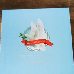 Newbridge Silverware Annual Christmas Collectible 2016  Dove of Peace  Rare & Boxed