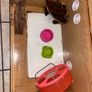 animal box Image 4