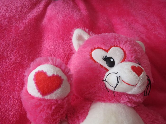 Build A bear Bundle