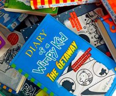 Books - Diary of a Wimpy Kid 1-18 and one free!