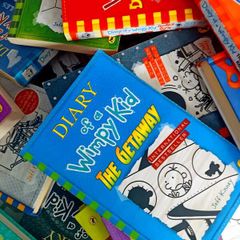 Books - Diary of a Wimpy Kid 1-18 and one free!