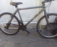 adult bike for sale