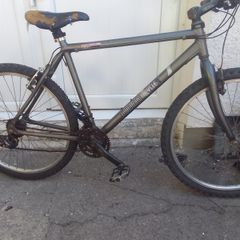 adult bike for sale