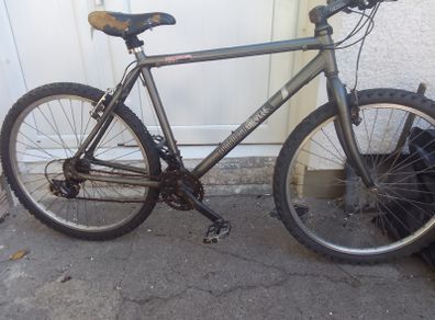 adult bike for sale