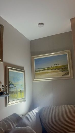 High quality paintings