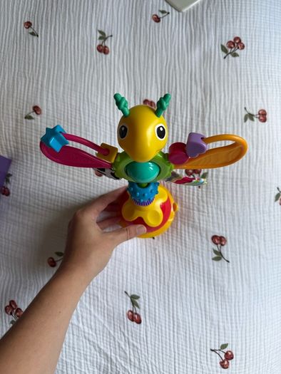 Sensory Toy