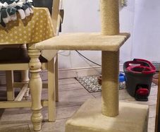 Cat Tree