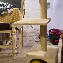 Cat Tree