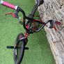 BMX Freestyle Image 2