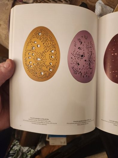Fontana. Lucio Fontana Basic Art By Barbara  Hess. First Edition  Paperback In Good Condition.37.