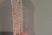 Sensory Colour Changing Led Fish Tube
