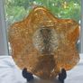 Carnival Glass Image 7