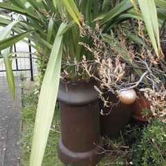 planter