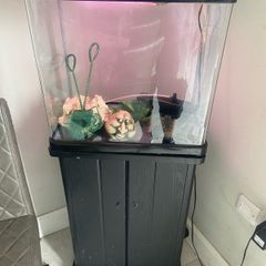 50 liter fish tank / And press