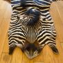 Zebra Skin hide African Image 2