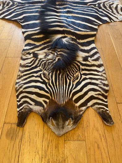 Zebra Skin hide African
