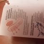 Girls "Geox" trainers, BRAND NEW IN BOX Image 5