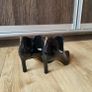 Vince Camuto ladies ankle boots Image 5