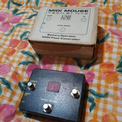 Tech 21 Midi Mouse