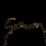 necklace Image 4