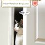 Children's Door Stop, Child Safety Door, Animal Design, Doorstop, Finger Clamp Protection, Foam Baby Safety Protection of Children's Hands and Pets from Injuries (Pack of 7) Image 3