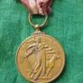 Irish Service Medal Image 4