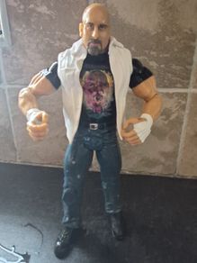 Goldberg Figure 2008 Jakks Pacific