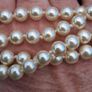 Kenneth Jay Lane 36" Pearl Necklace(With Pouch and COA) Image 3