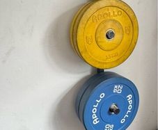 Gym Weighted Plates + Barbells (160kg Total)