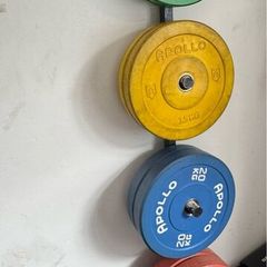 Gym Weighted Plates + Barbells (160kg Total)