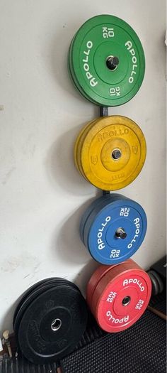 Weighted Plates + Barbells
