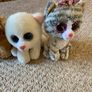 Beanie boos x 4 Image 2