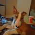 david.perisrodriguez.3