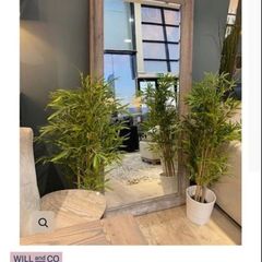 Diamond Furniture Pippa Mirror