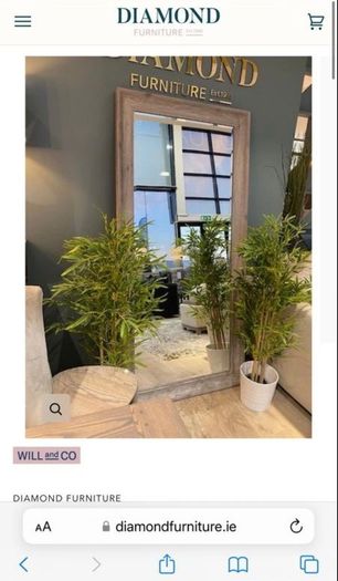 Diamond Furniture Pippa Mirror