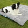 3 in1 Dog Sleeping Bag Dog Blanket Dog Towel Image 7