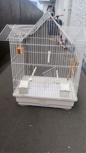 Budgie cage