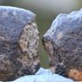 Meteorite 14.68 grams NWA 869 cut in 2 Image 3