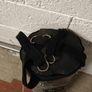 Boxing Bag Image 2