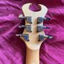 schecter devil diamond series Image 6