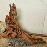 Terrarium Wood Image 6