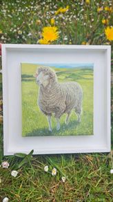 Original Oil Painting